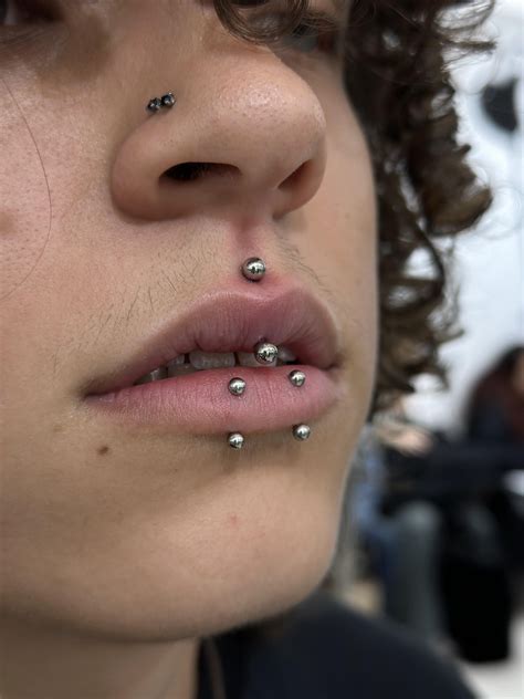 fresh jestrum with healed vertical labrets and nostrils : r/piercing
