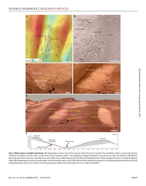 Christa Pike: New Evidence Surfaces After All These Years Image 18