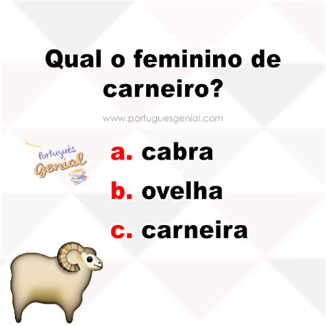 Substantivo Feminino De Carneiro