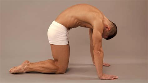 8 Best Lower Back Stretches for A More Mobile Spine – Fitness Volt