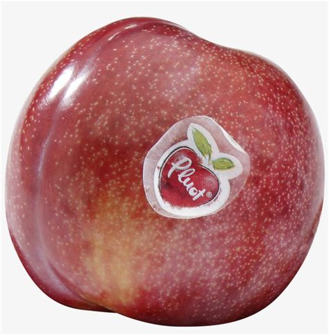 ﻿pluot® - Pluot PNG Image | Transparent PNG Free Download on SeekPNG