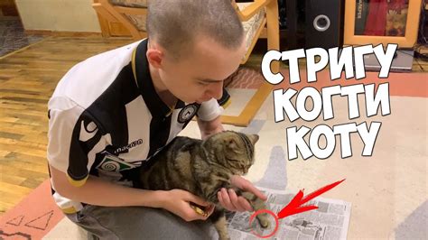 КАК ПОДСТРИЧЬ КОГТИ КОТУ, ЧТОБЫ ОН НЕ ВЫРЫВАЛСЯ! - YouTube