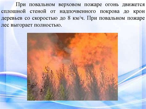 Природные пожары - презентация онлайн