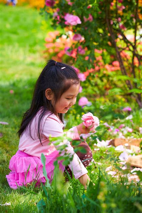 "Lovely Little Asian Girl Picking Rose Petal In The Garden" by Stocksy