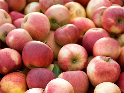 cooperar raro conveniencia vinagre de manzana para rostro abdomen