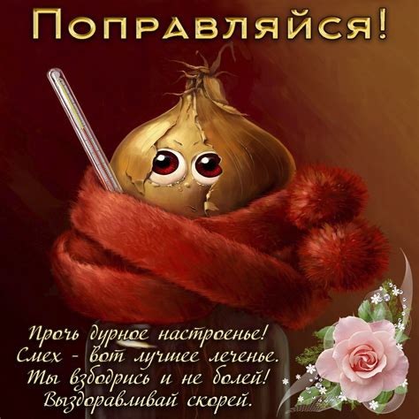 Выздоравливай скорее! 75 картинок с пожеланиями
