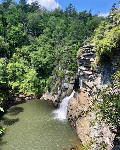 Vanessa Luna (@vlunacelino) • Instagram photos and videos