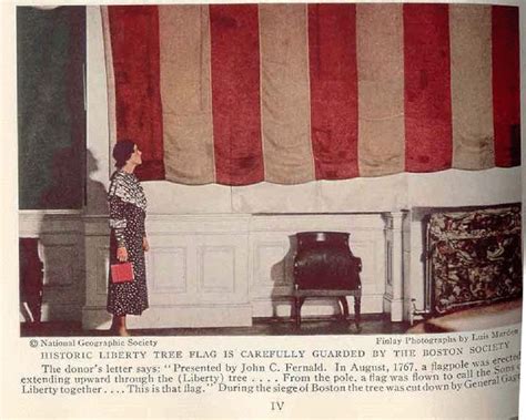 Sons of Liberty Flag