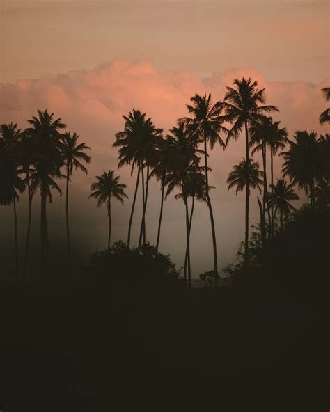 Home - Maria Exotic Travel