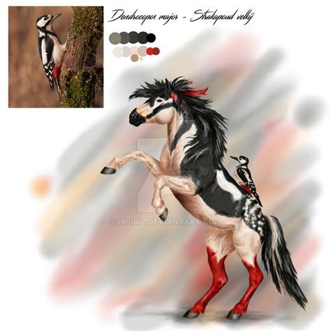 Dendrocopos major by Irsibil on DeviantArt
