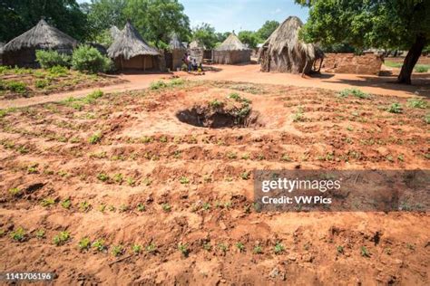 Mukuni Village Photos and Premium High Res Pictures - Getty Images