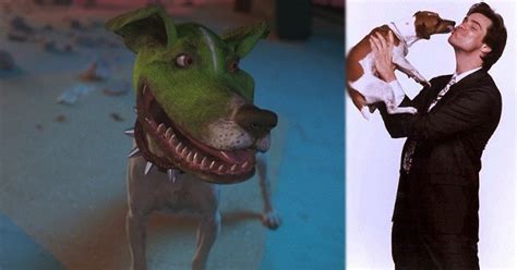 Cachorro Do Máscara Maylon - Qual a Raça do Cachorro do Máscara? | Mundo Ecologia