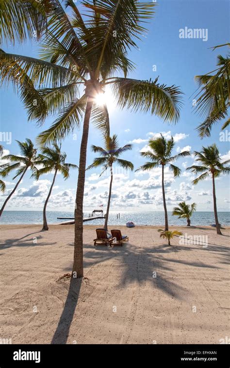 Beach with wooden jetty at the Moorings Village Resort, Islamorada ...