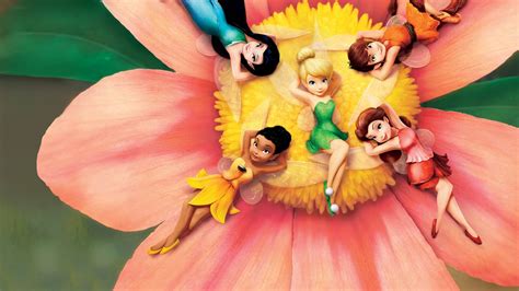 tinker bell   flower wallpaper wallpaperscom