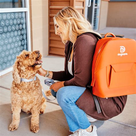 Pricing Information | Dogtopia of Omaha-Millard