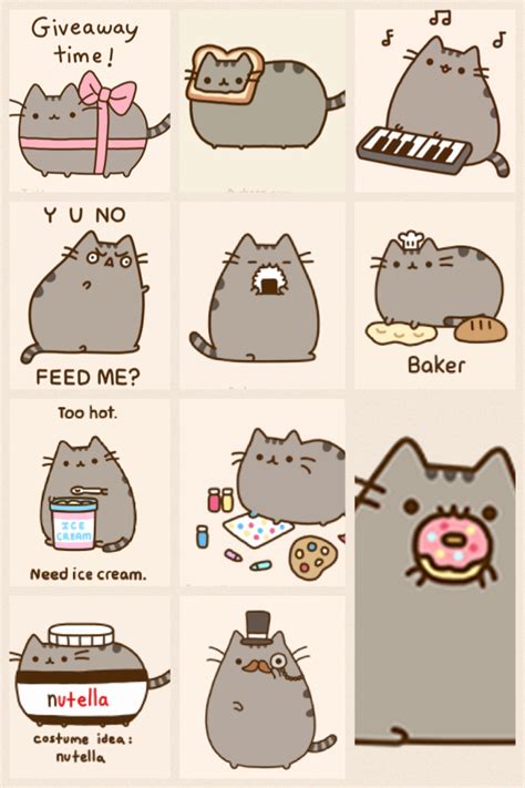 Pusheen The Cat Y U No Feed Me