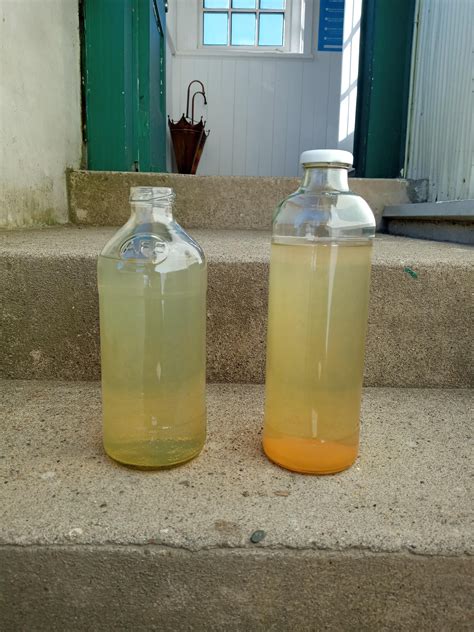 Yellowish color in water from well, help please : r/WaterTreatment