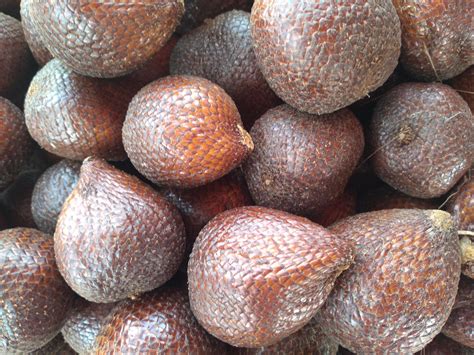 Salak pondoh is one of the salak cultivars that mostly grows in the ...