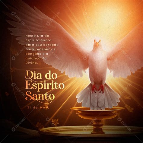 Dia Do Espirito Santo - 6