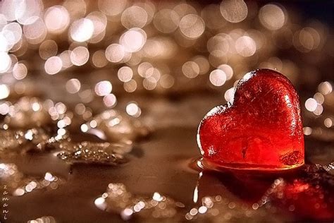 fascinating facts   heart heart sisters