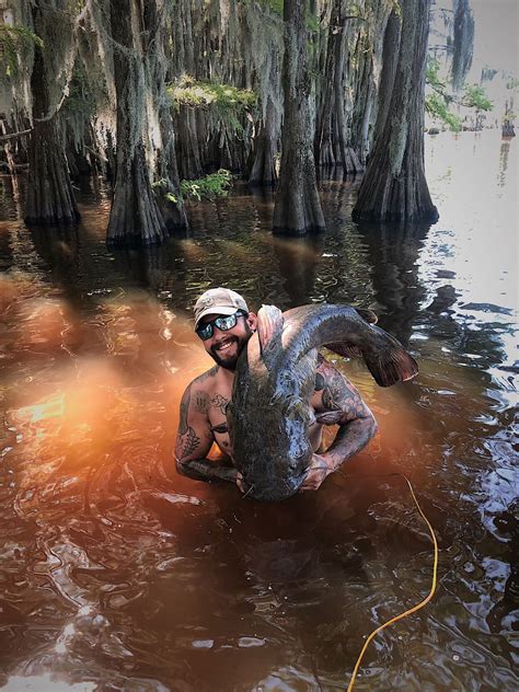Louisiana 'noodlers' catch catfish by hand. These videos show how they