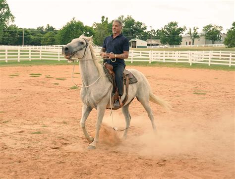 6 Shows Like Tulsa King to Watch While You Wait for Season 2 - TV Guide