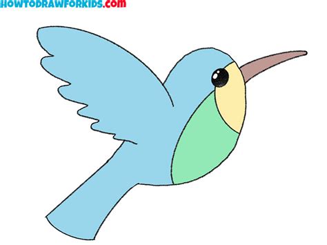 hummingbird how to draw