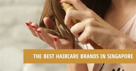 haircare brands  singapore   hair type lutfisg