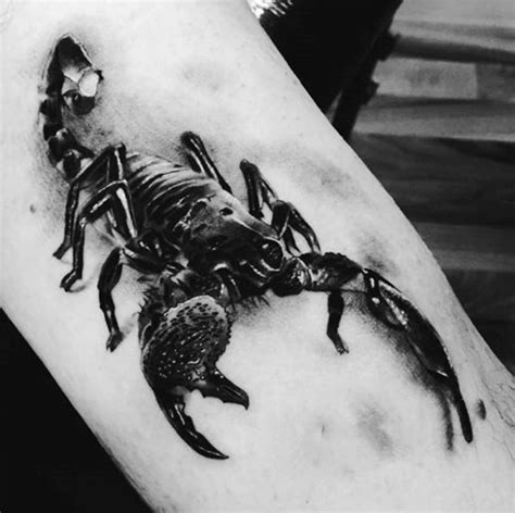 Great scorpion pictures - Tattooimages.biz