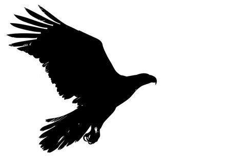 Eagle silhouette clip art vulture | Free Photo Illustration - rawpixel