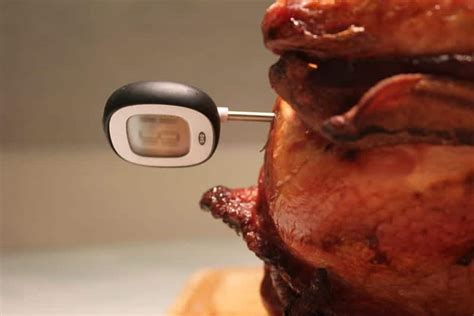 Where to Put Meat Thermometer in Turkey? | Grill Baby Grill