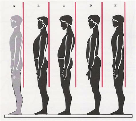 stack  protect  hip joints