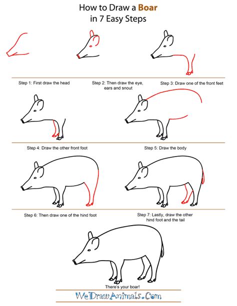 how to draw a boar