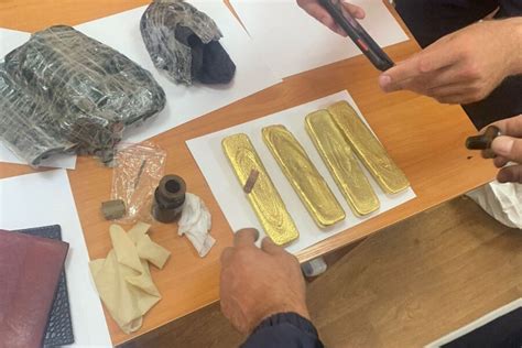 В РФ предложили повысить штрафы за незаконный оборот драгметаллов ...
