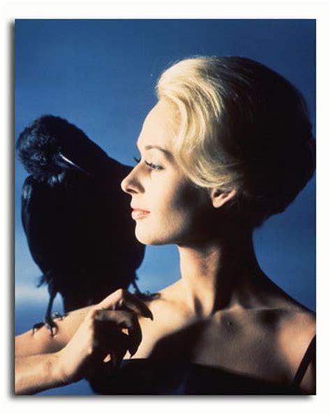 (SS2235805) Movie picture of Tippi Hedren buy celebrity photos and