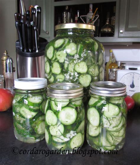 The Gardener of Eden: What's Canning..............Pickles, Pickles, Pickles