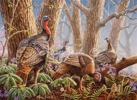 1997 National Wild Turkey Stamp – Larry Zach Wildlife Art