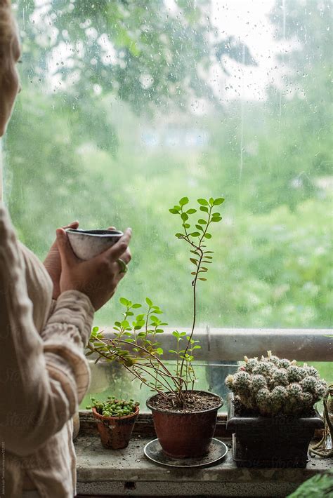 "A Woman Enjoys Her Coffee By Her Plants While Looking Out The Window