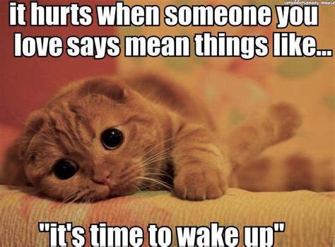 meanie cute animal memes cute funny animals funny animal jokes