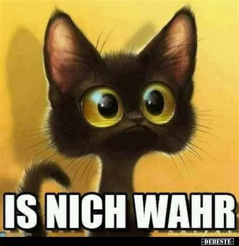 Ist nicht wahr... - DEBESTE.de