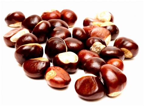 Food and Medicine - Chestnuts | Interesting Considerations