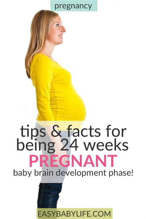 Yay, 24 Weeks Pregnant! Baby Brain Development, Growing Bump