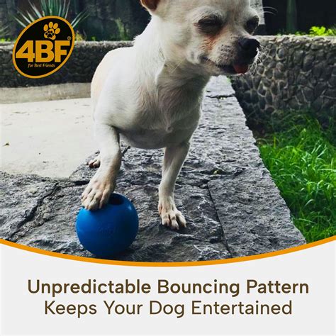 Snapklik.com : Crazy Bounce, Natural Rubber Dog Ball, Dog Treat