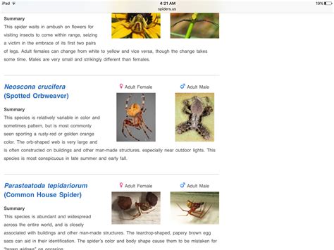 My grandpa found it in New York, he asked me to find what is it