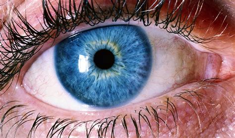 What is the Vestibular- Ocular Reflex (VOR)? - ENT Care, Rockville, MD ...