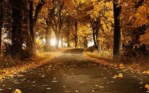 Best Wallpapers for Laptop, Nature, Autumn, beautiful nature wallpapers ...