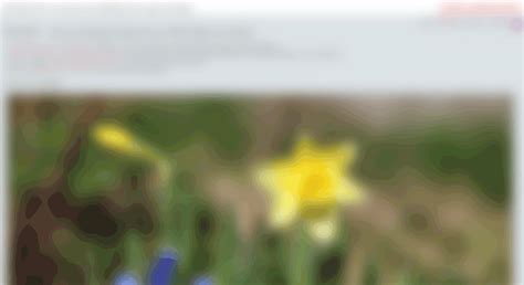 Access imgsrc.su. Your personal unlimited free photo hosting @iMGSRC.RU