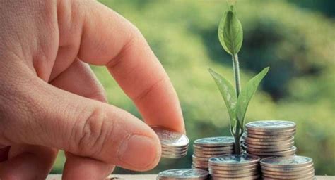 comprehensive guide  personal finance merit badge  newsweekly