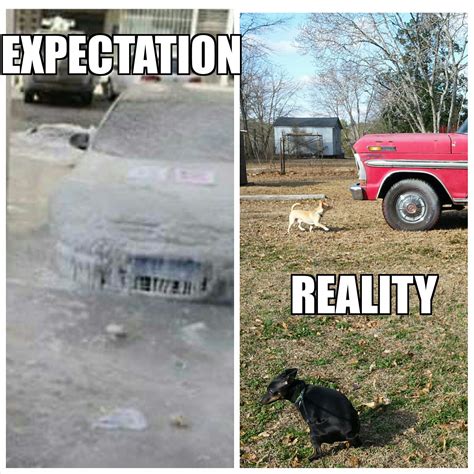 School closings in Georgia over bad weather that doesn't exist. : r