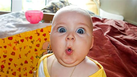 Hilarious Baby Videos That You Can't Miss - Funny Baby Moments | BABY ...